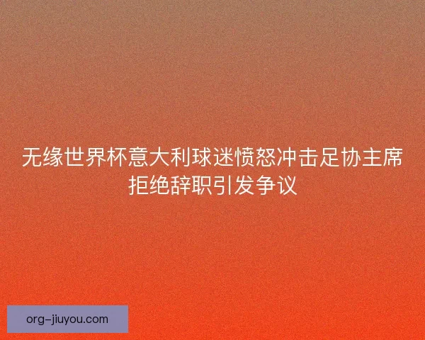 无缘世界杯意大利球迷愤怒冲击足协主席拒绝辞职引发争议