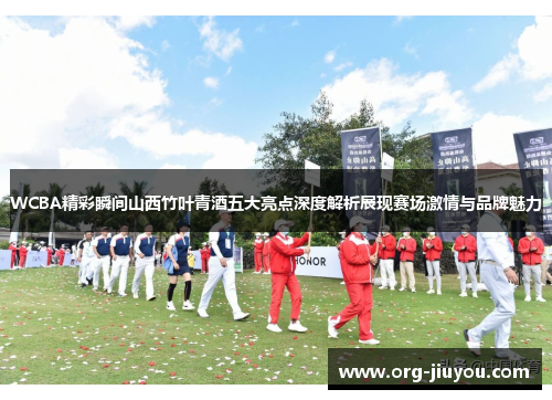 WCBA精彩瞬间山西竹叶青酒五大亮点深度解析展现赛场激情与品牌魅力