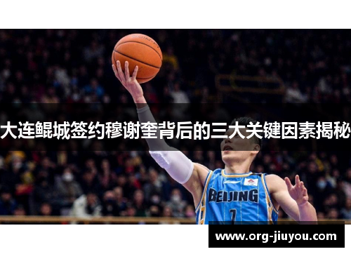大连鲲城签约穆谢奎背后的三大关键因素揭秘