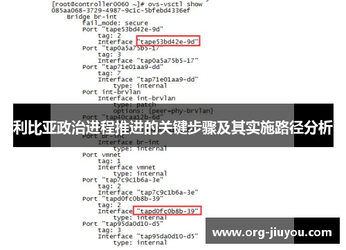 利比亚政治进程推进的关键步骤及其实施路径分析