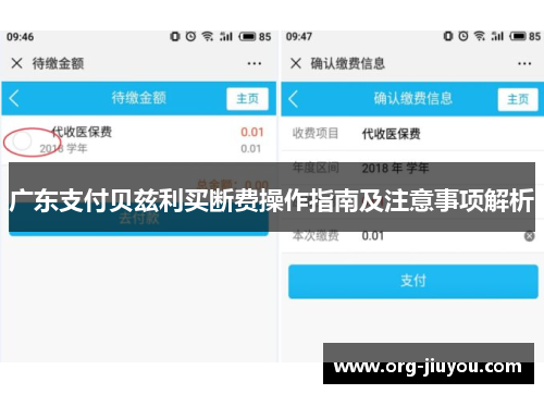 广东支付贝兹利买断费操作指南及注意事项解析