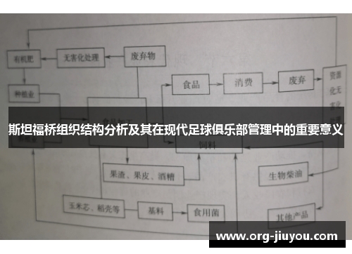 斯坦福桥组织结构分析及其在现代足球俱乐部管理中的重要意义