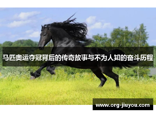 马匹奥运夺冠背后的传奇故事与不为人知的奋斗历程