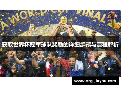 获取世界杯冠军球队奖励的详细步骤与流程解析
