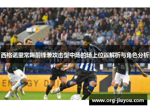 西格诺里常踢前锋兼攻击型中场的场上位置解析与角色分析